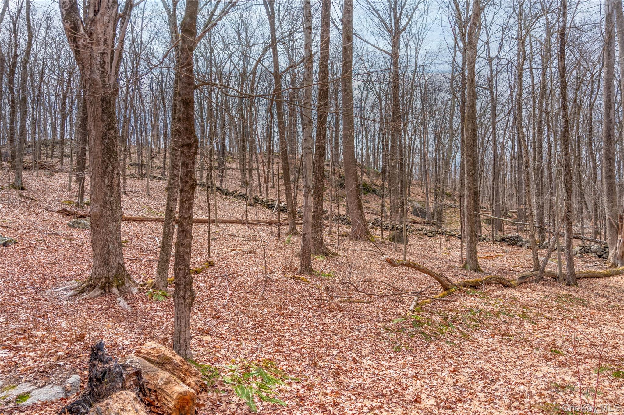 22 Joshua Hobby Lane Pound Ridge, NY 10576 - Photo 4 of 19 a view of outdoor space with wooden fence