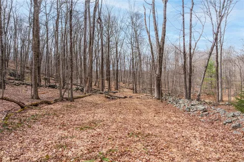 a view of a backyard with large trees and wooden fence