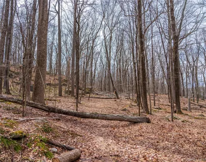 a view of a dry yard with trees
