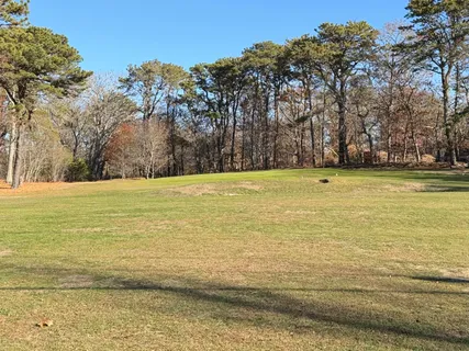 a view of an ocean and trees