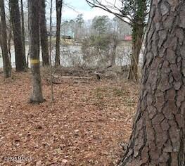 108 Horseshoe Bend Road Southwest Eatonton, GA 31024 - Photo 2 of 5 2