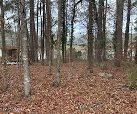 108 Horseshoe Bend Road Southwest Eatonton, GA 31024 - Photo 3 of 5 3