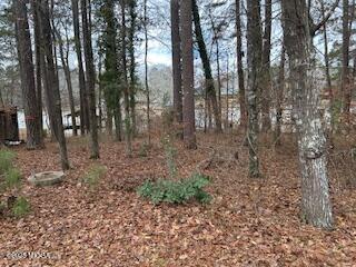 108 Horseshoe Bend Road Southwest Eatonton, GA 31024 - Photo 4 of 5 4