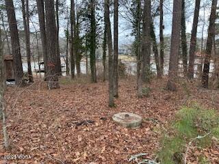 108 Horseshoe Bend Road Southwest Eatonton, GA 31024 - Photo 5 of 5 Lake 1