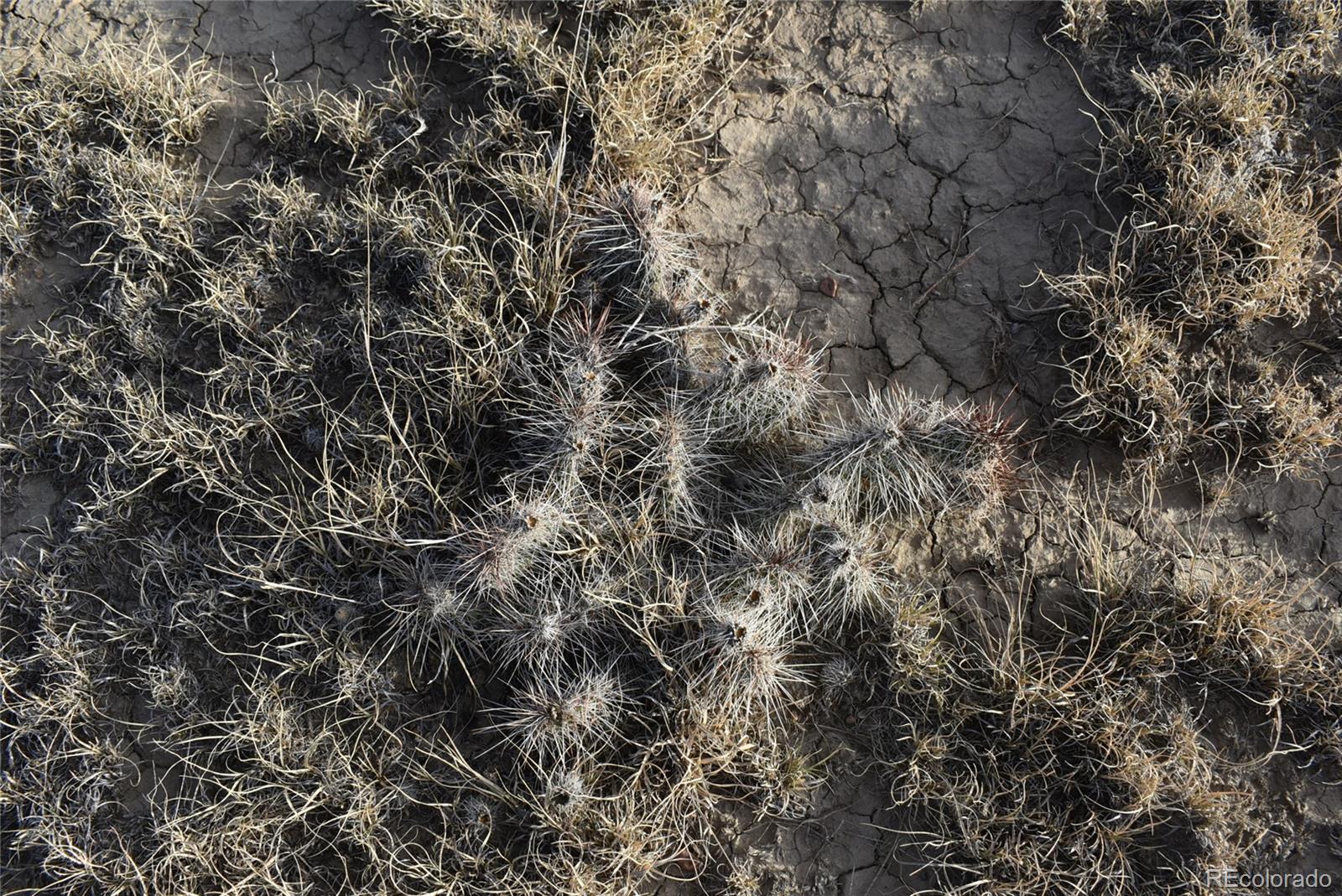 Lot 35 Bennett Road Rye, CO 81069 - Photo 21 of 25