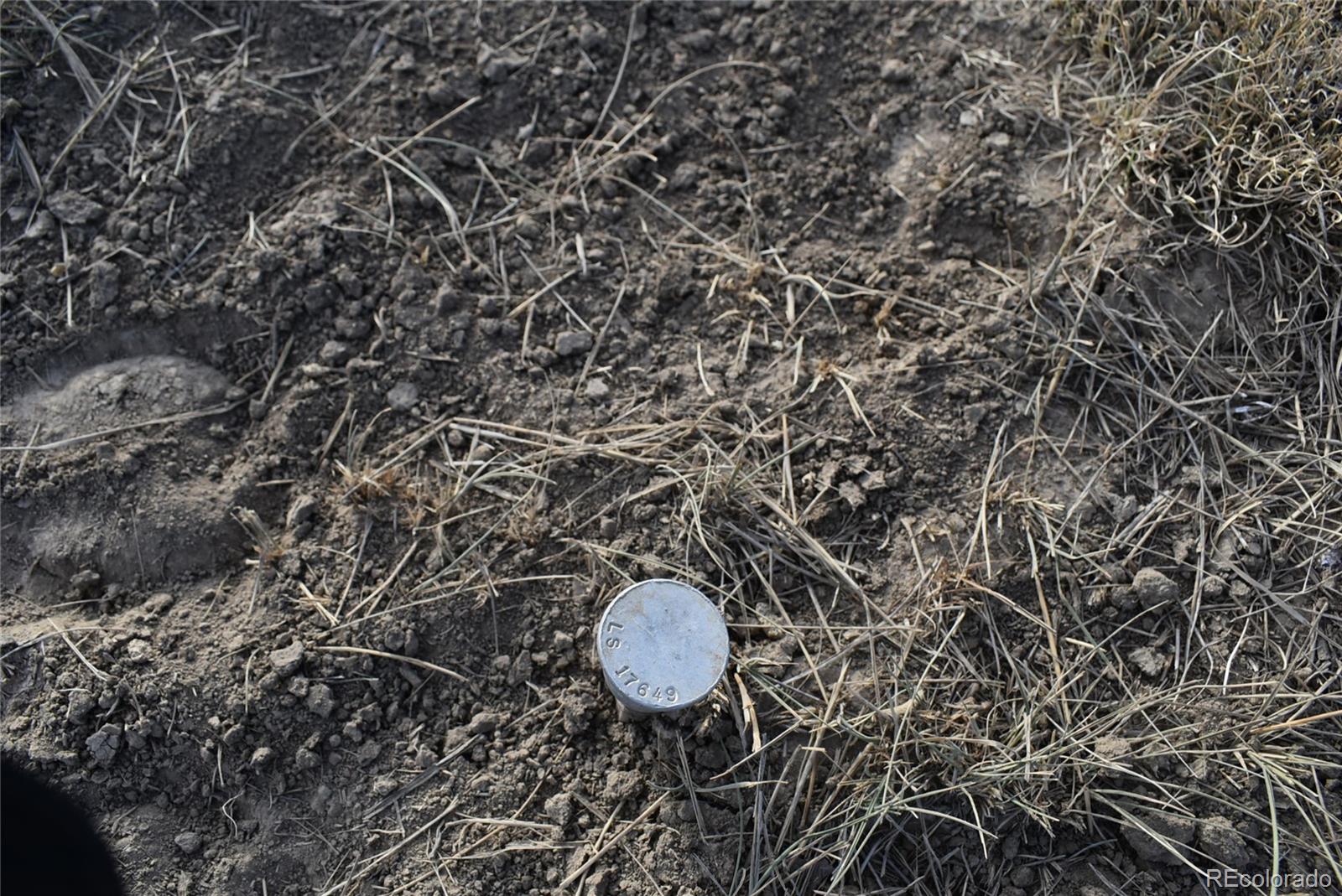 Lot 35 Bennett Road Rye, CO 81069 - Photo 5 of 25 a picture of a tree