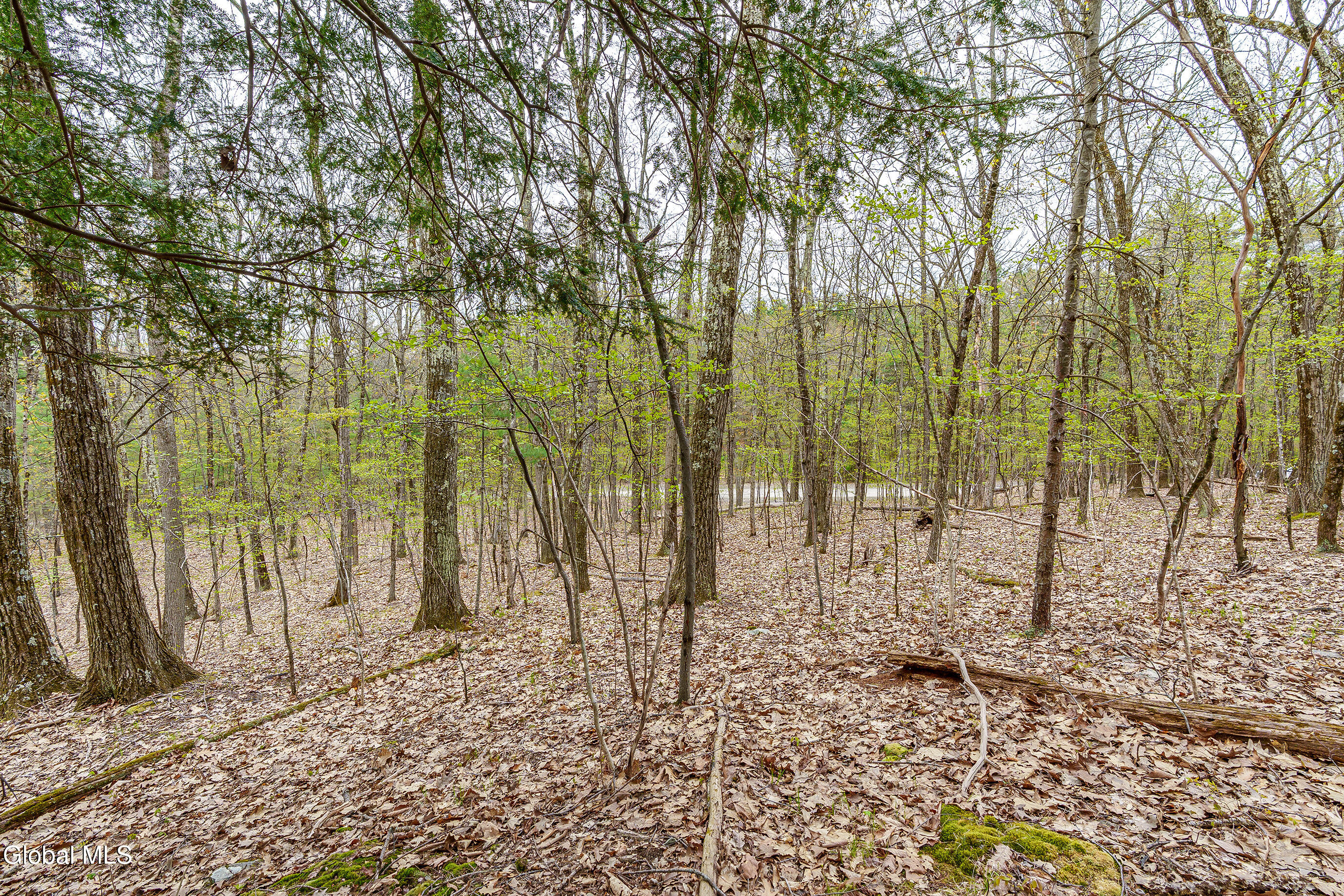 83 Maschodack Road Nassau, NY 12123 - Photo 12 of 26 017-Mashodack-Rd-Nassau-NY-12123