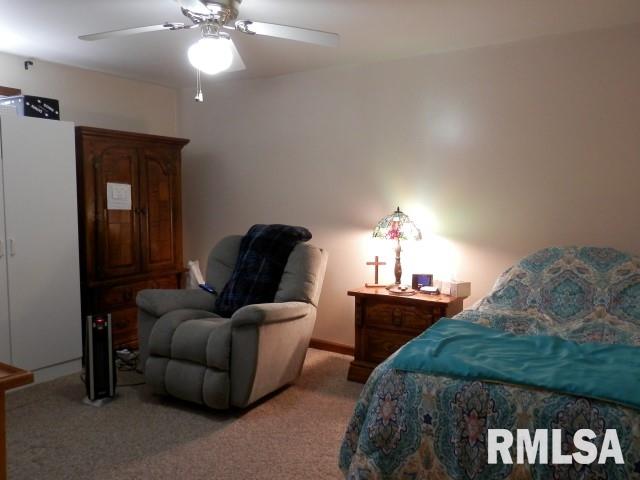 8065 St Joseph Road Benton, IL 62812 - Photo 14 of 26 Gallery Image 14