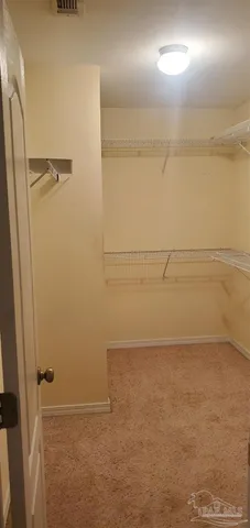 a view of a yard with plants and large trees