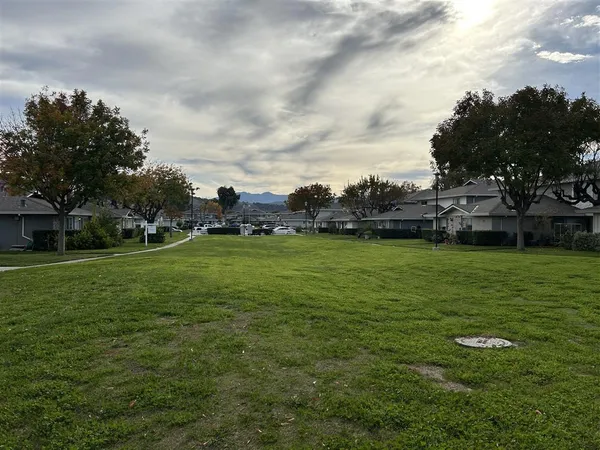 a view of yard with grass & trees