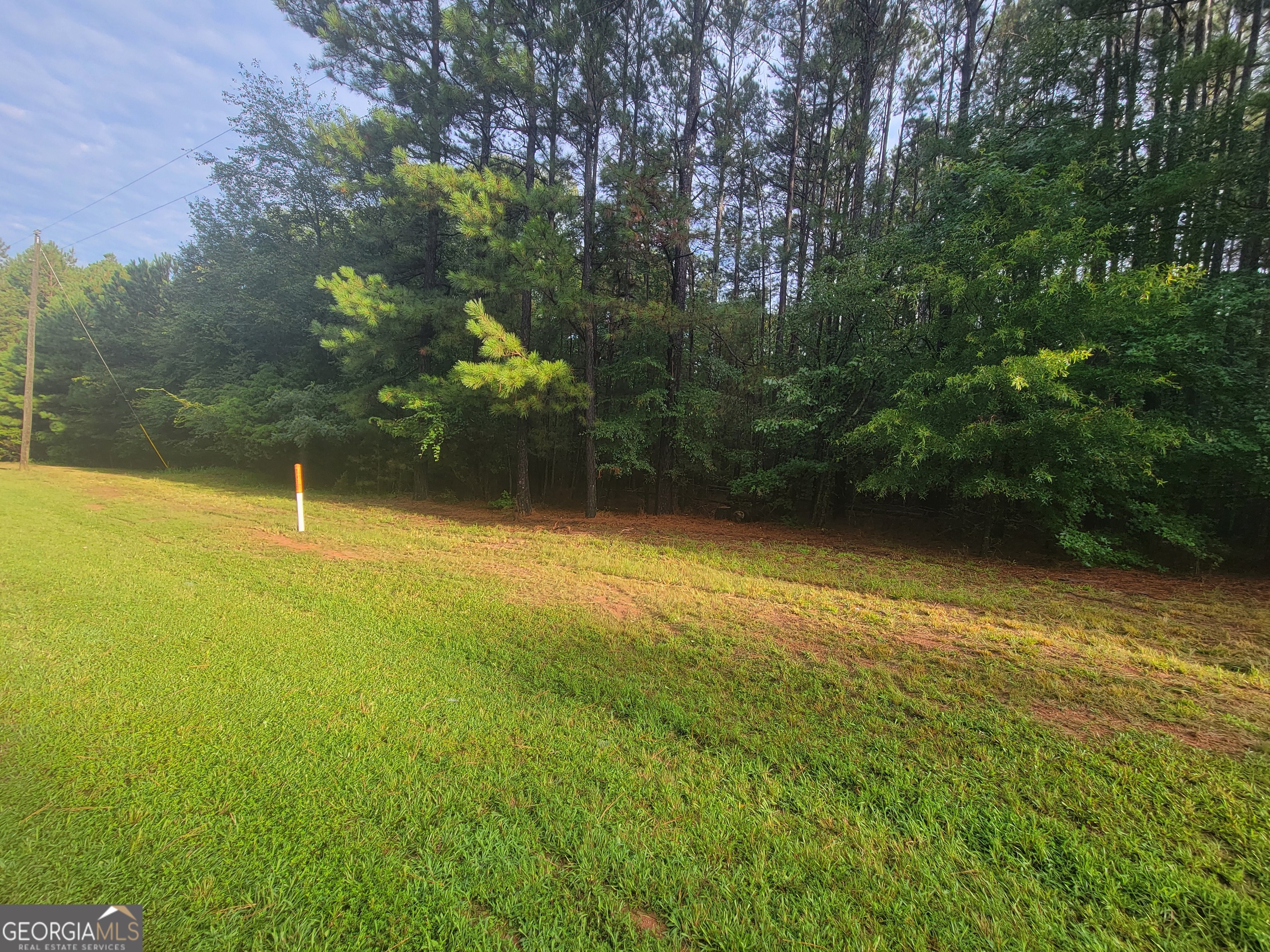 0 Stinchcomb Road, Unit 9 Elberton, GA 30635 - Photo 3 of 5 a view of outdoor space and yard