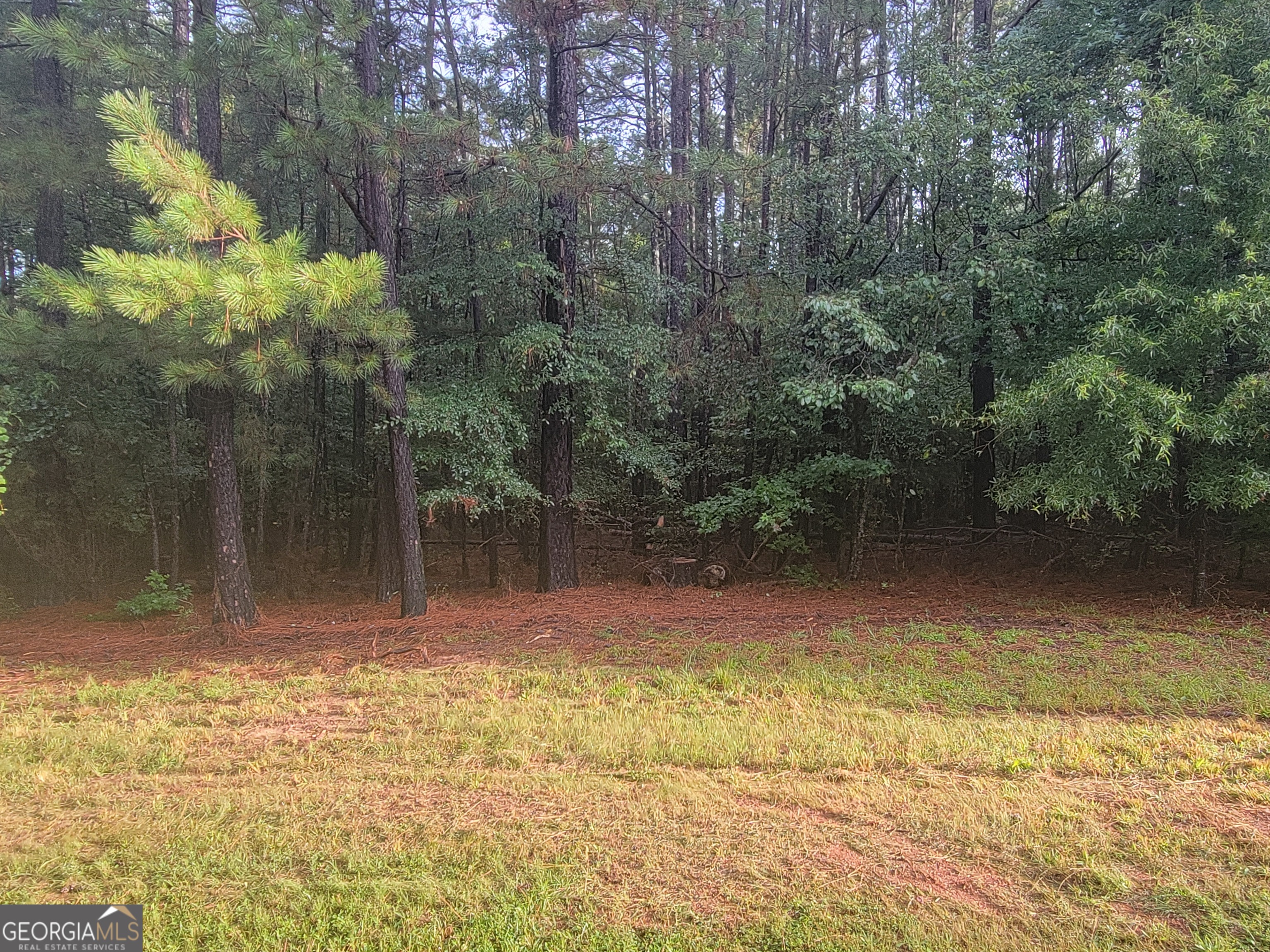 0 Stinchcomb Road, Unit 9 Elberton, GA 30635 - Photo 4 of 5 a view of outdoor space and yard