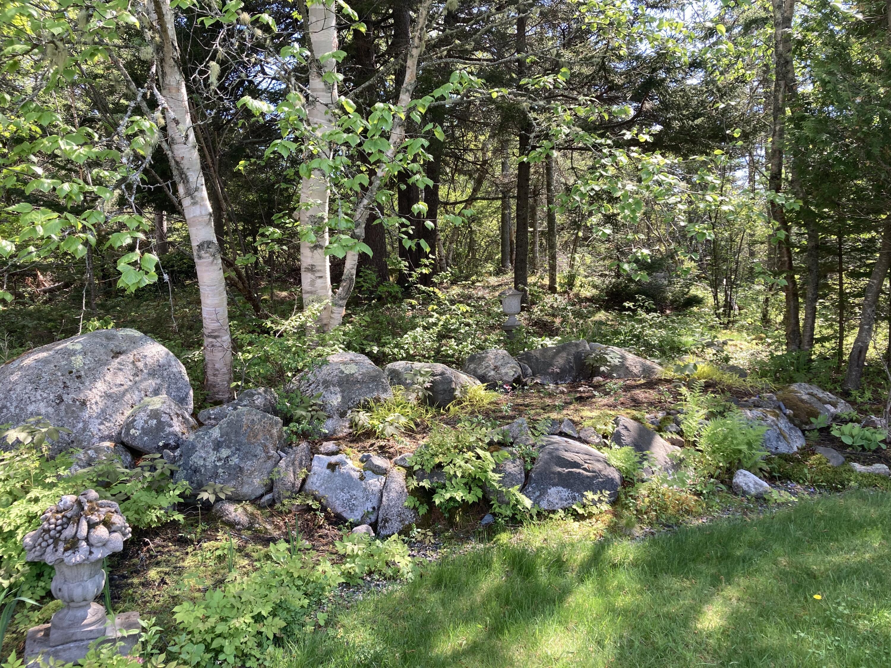 635 Corea Road Corea, ME 04624 - Photo 27 of 35 Shade gardens in granite spaces.