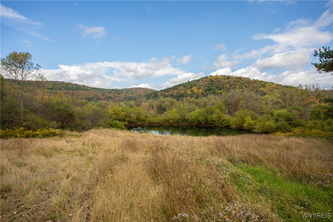 5029 Humphrey Road Great Valley, NY 14741 - Photo 45 of 47