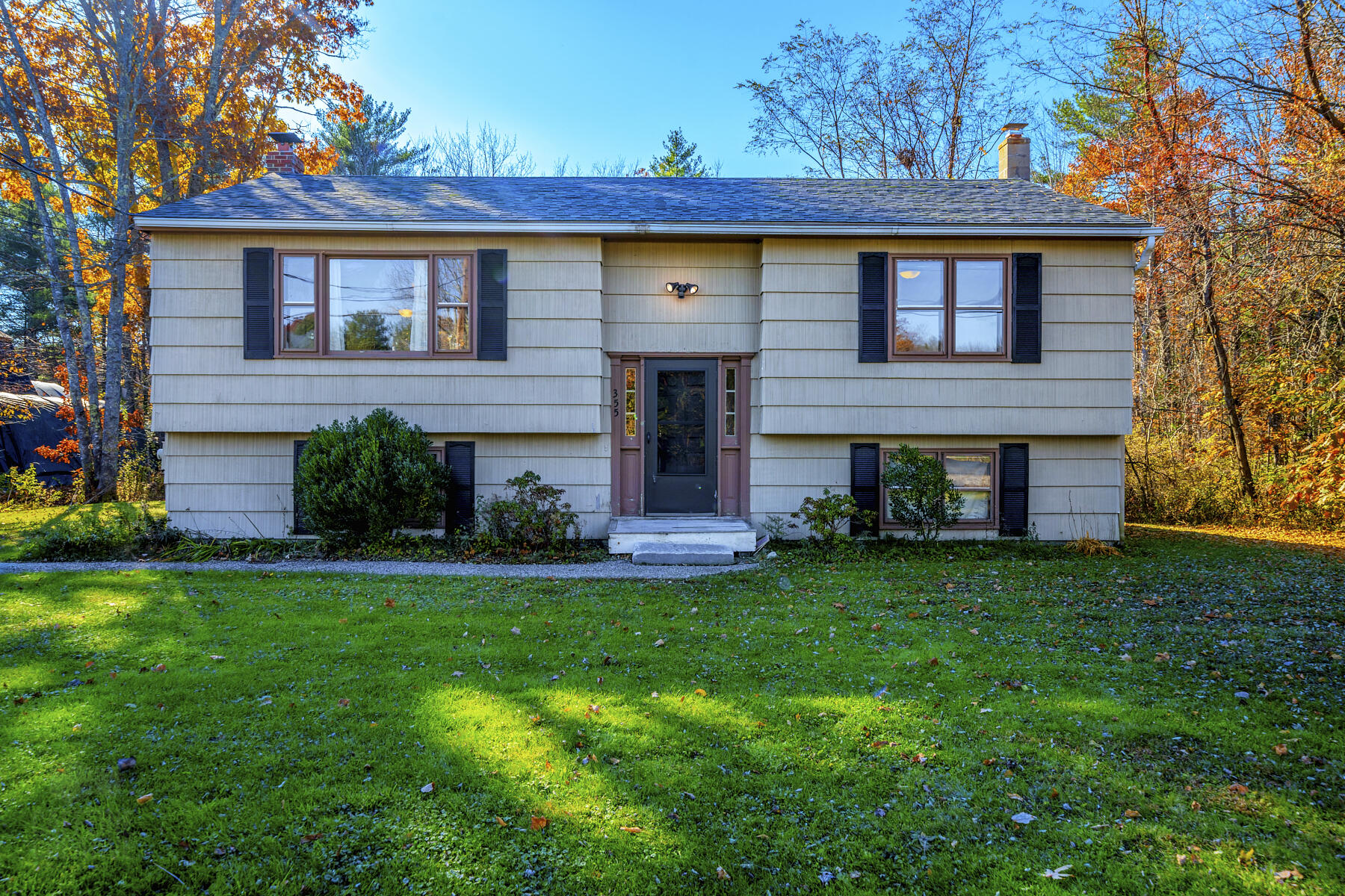 windham-mcaleney-caffeine-18