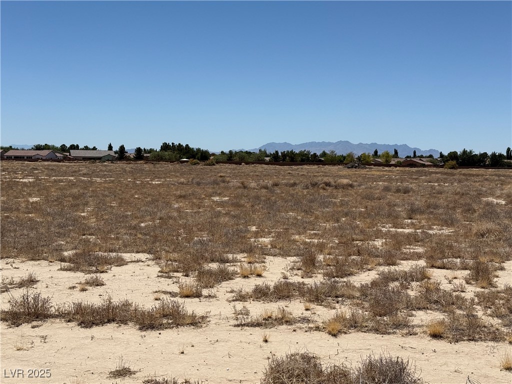 5331 Roger Street Pahrump, NV 89061 - Photo 5 of 6 South View