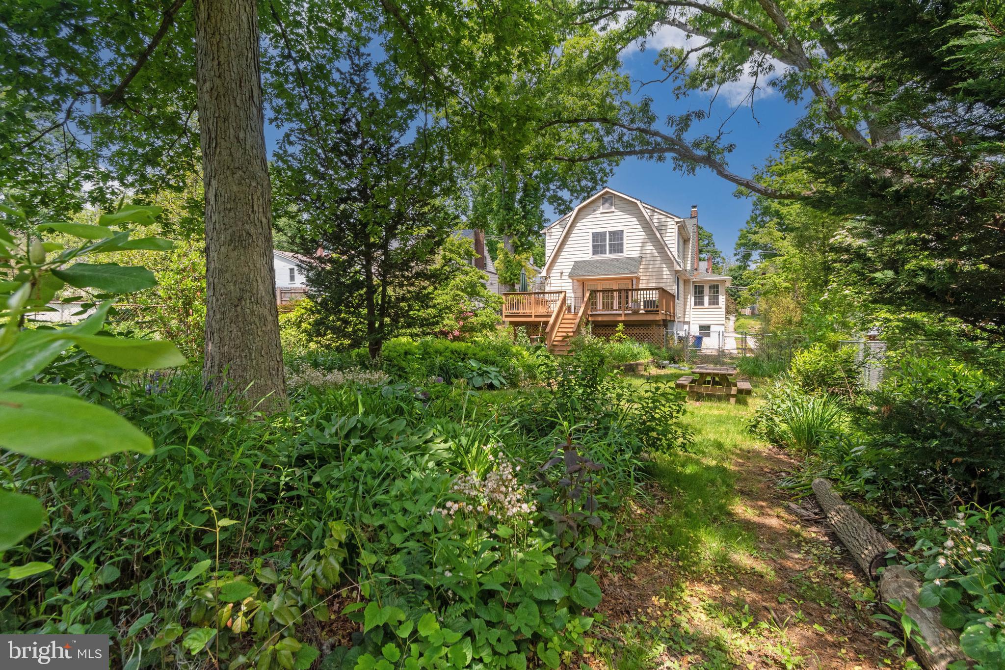 911 Regester Avenue Baltimore, MD 21239 - Photo 36 of 40 Mature, landscaped lawn.
