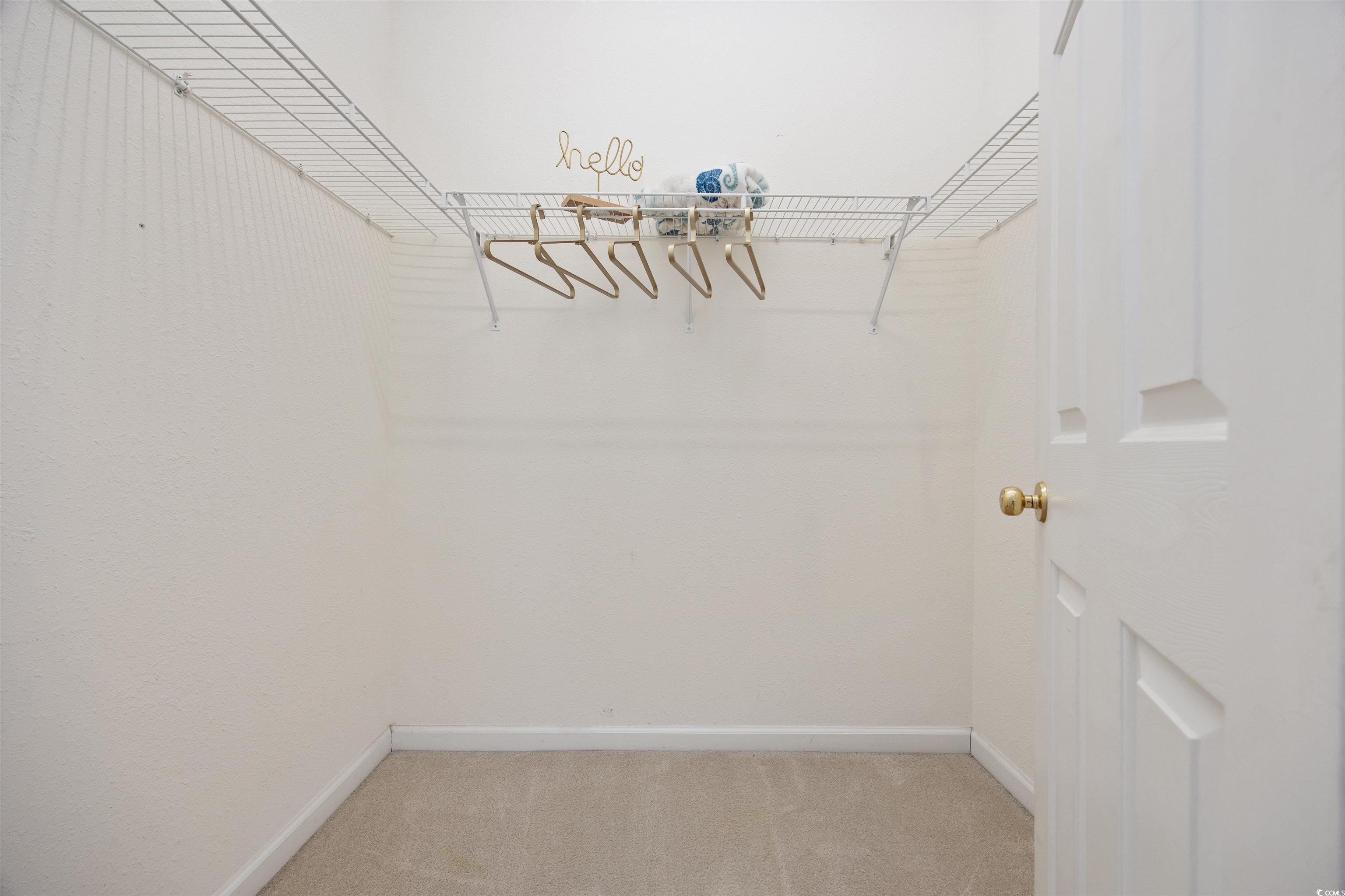 155 Chenoa Drive, Unit D Murrells Inlet, SC 29576 - Photo 14 of 33 Walk in closet featuring carpet flooring