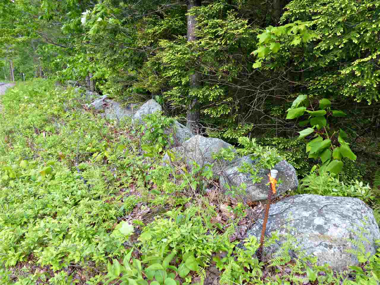 R12-l#15 Holderness Road Sandwich, NH 03227 - Photo 3 of 40 Gallery Image 3