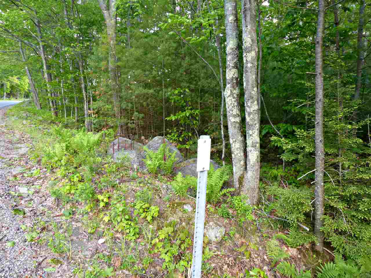 R12-l#15 Holderness Road Sandwich, NH 03227 - Photo 5 of 40 Gallery Image 5