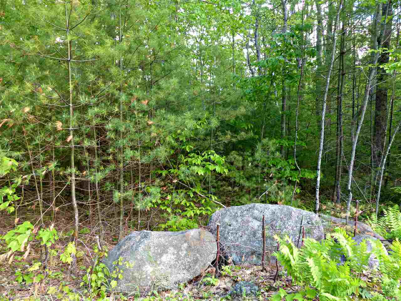 R12-l#15 Holderness Road Sandwich, NH 03227 - Photo 6 of 40 Gallery Image 6