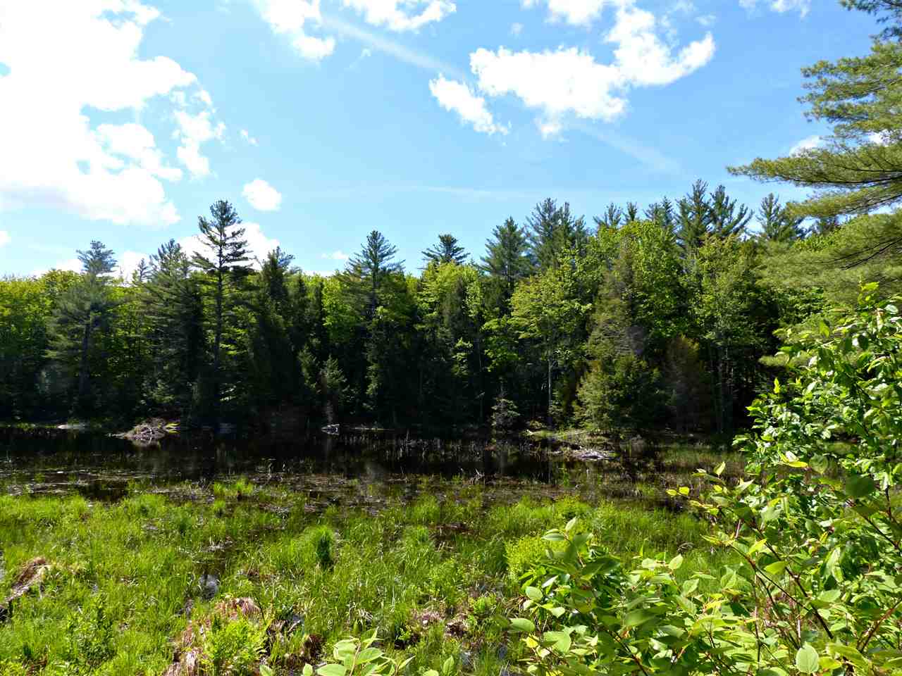 R12-l#15 Holderness Road Sandwich, NH 03227 - Photo 7 of 40 Gallery Image 7