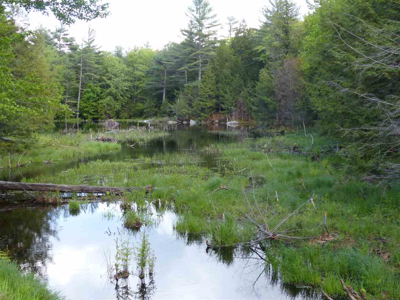 R12-l#15 Holderness Road Sandwich, NH 03227 - Photo 8 of 40 Gallery Image 8