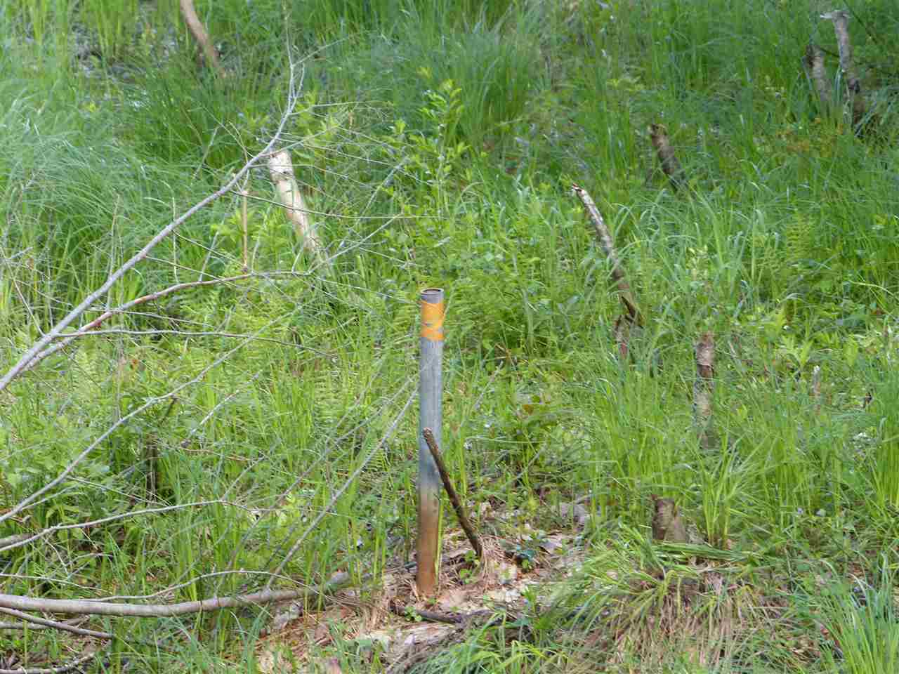 R12-l#15 Holderness Road Sandwich, NH 03227 - Photo 9 of 40 Gallery Image 9