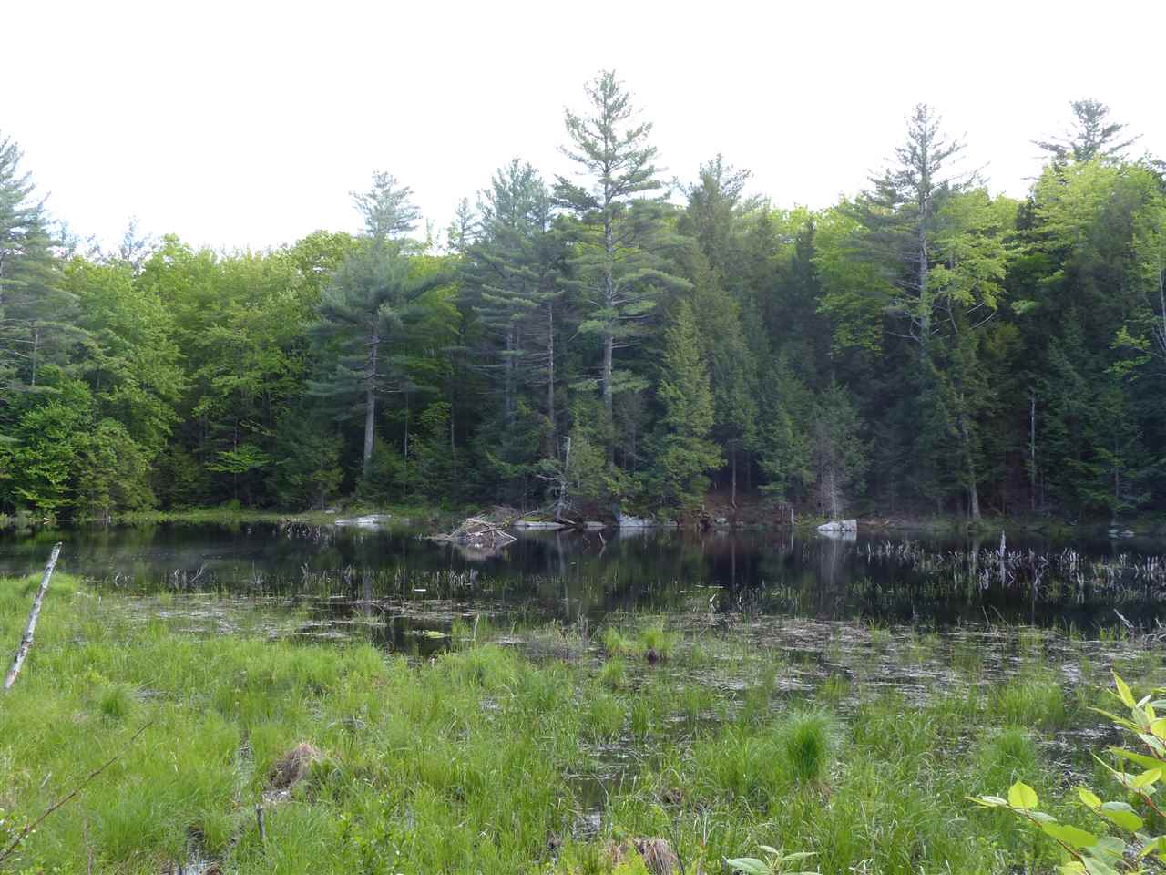 R12-l#15 Holderness Road Sandwich, NH 03227 - Photo 10 of 40 Gallery Image 10
