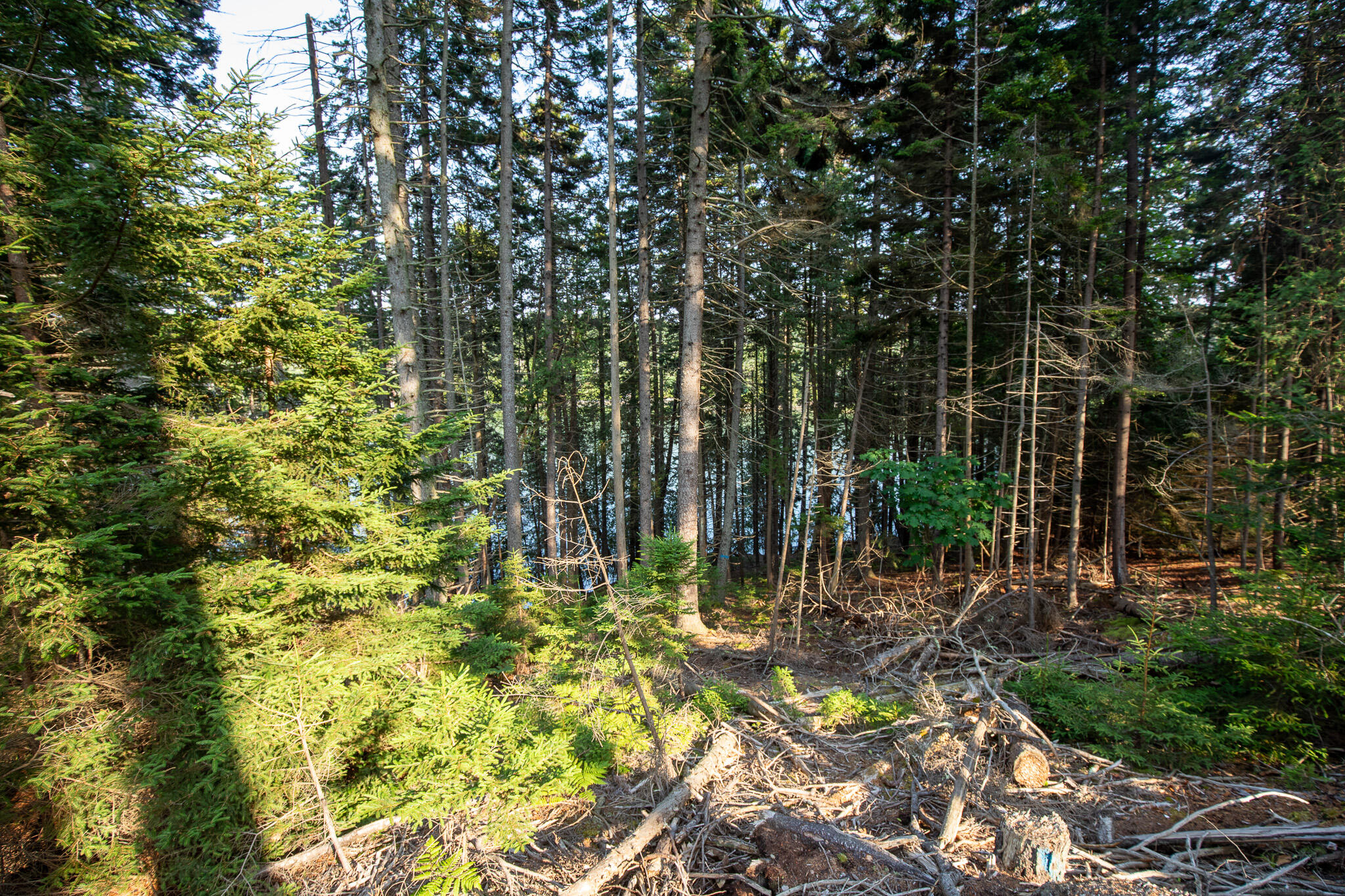 0 Bayview Road, Unit 2 Orrs Island, ME 04066 - Photo 21 of 61 837A9939