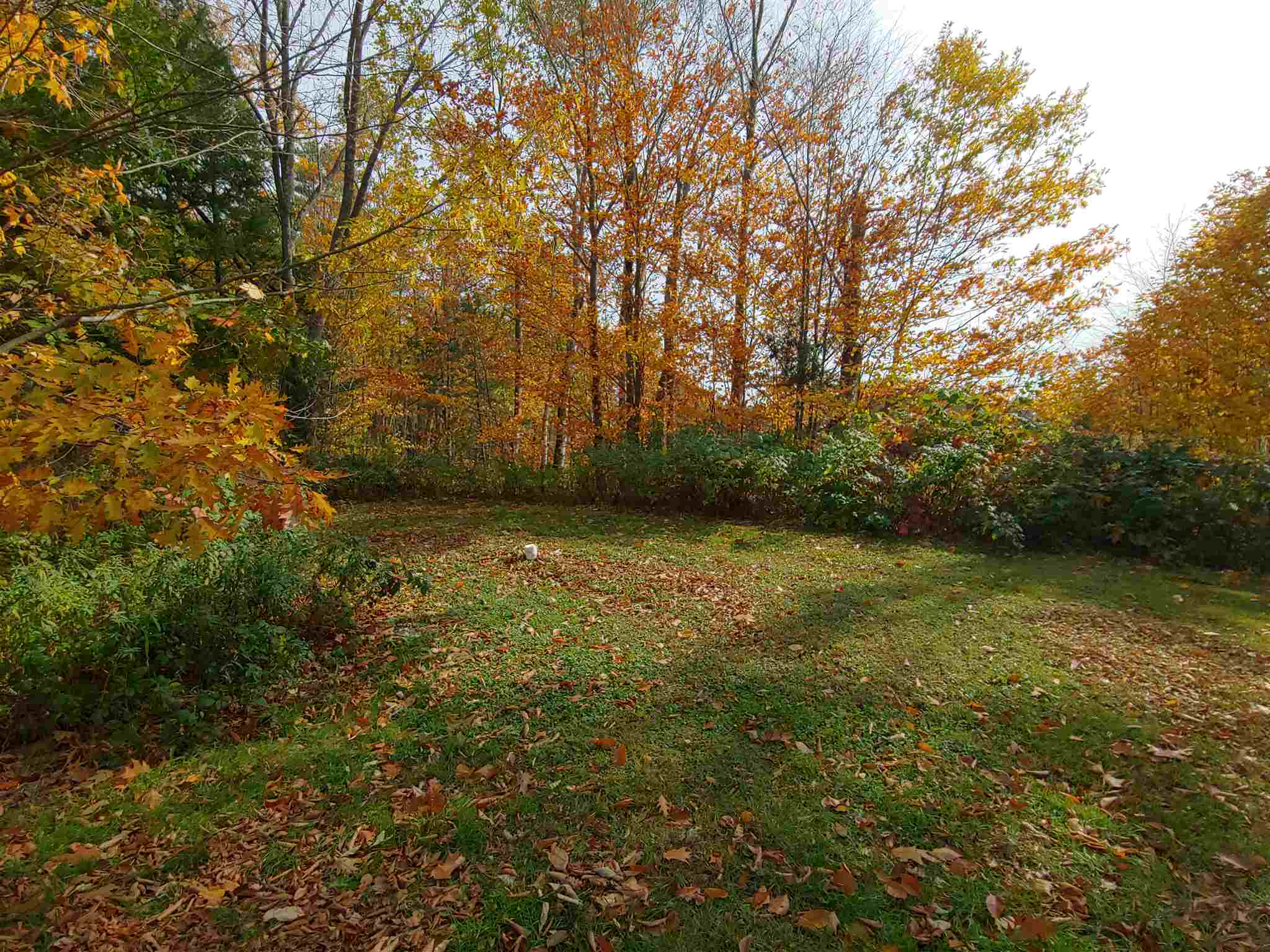 95 Derry Hill Road Acworth, NH 03601 - Photo 14 of 15