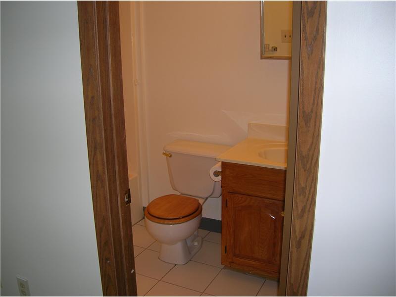 412 Shady Ridge Drive Monroeville, PA 15146 - Photo 16 of 25 Master Bath/Spa.