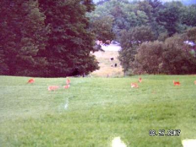 Primary Photo