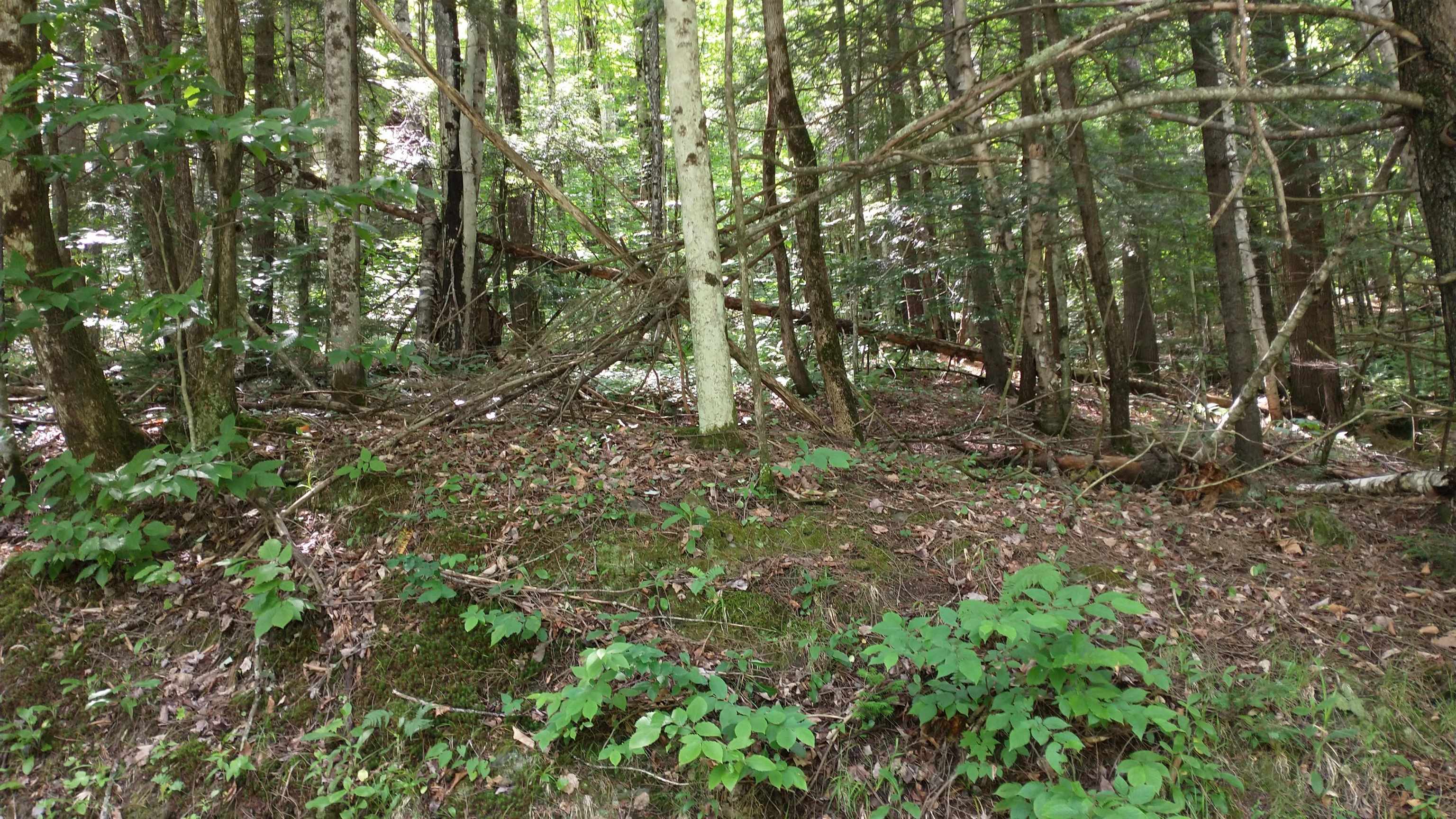 Tbd Thurston Hill Road Roxbury, VT 05669 - Photo 11 of 12
