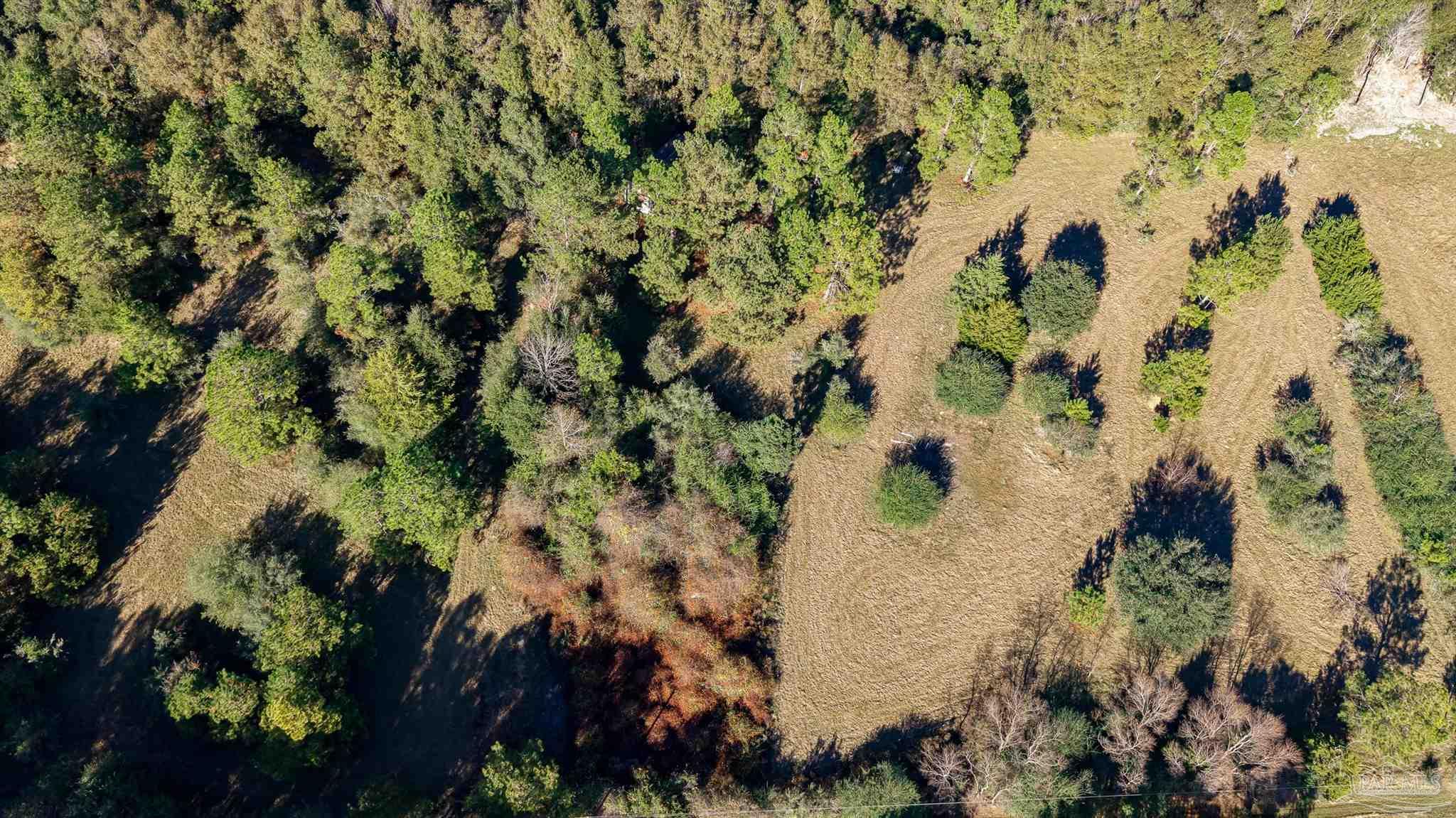 1756 Jacks Branch Road Cantonment, FL 32533 - Photo 17 of 29 an aerial view of a house with a lot of flowers