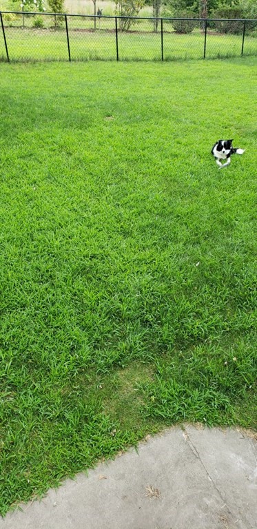 3 Harvey Road Chelmsford, MA 01824 - Photo 38 of 39 a view of a green field