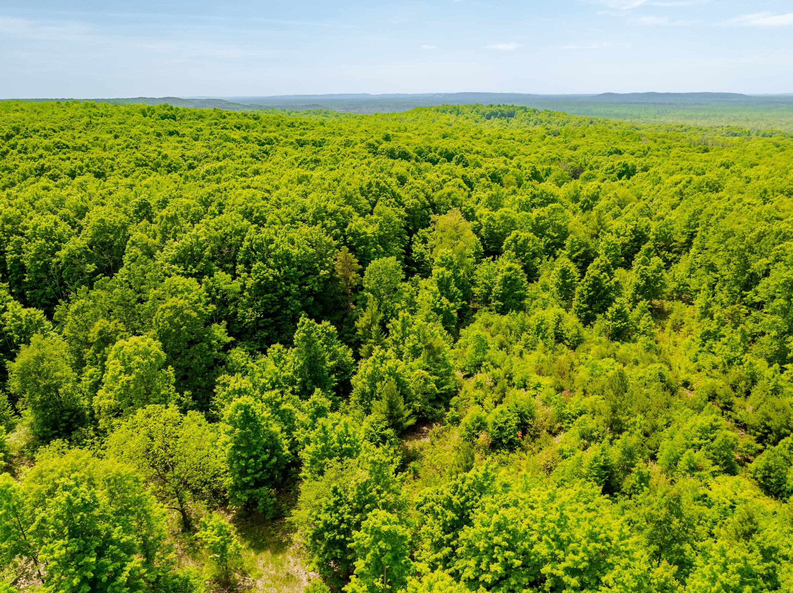 Tbd Traverse Road Thompsonville, MI 49683 - Photo 12 of 40