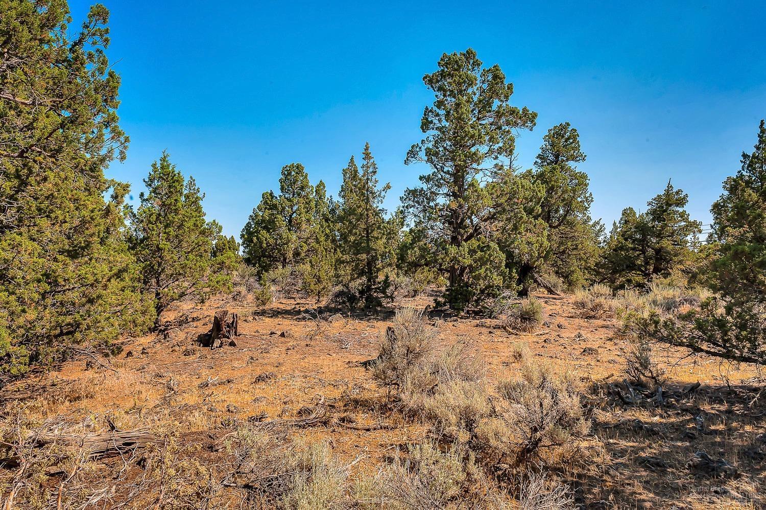 64385 Hunnell Road Bend, OR 97703 - Photo 10 of 11 Additional Photo