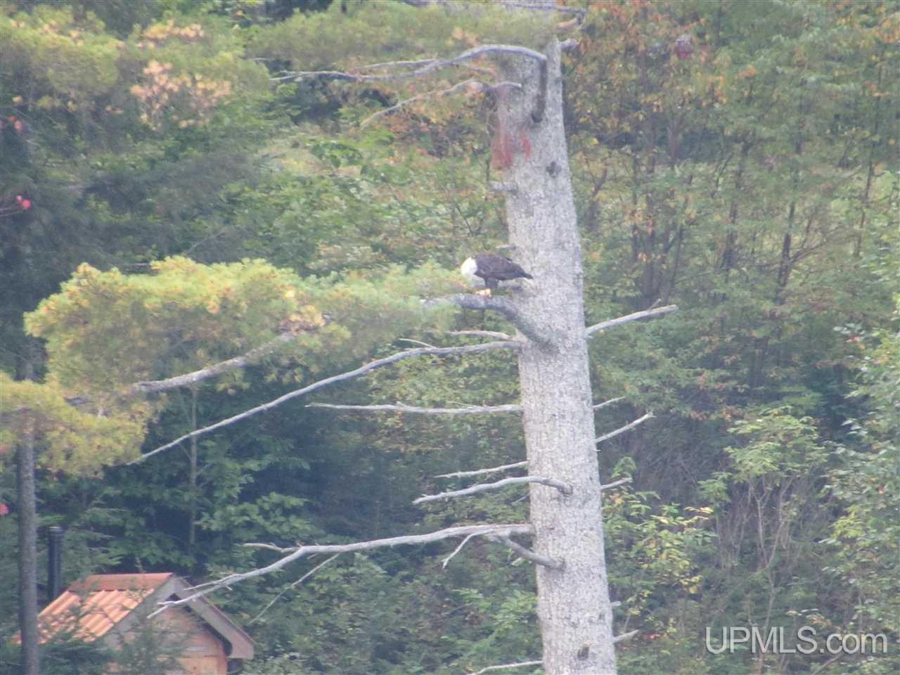 E9611 North Town Line Lake Road Wetmore, MI 49895 - Photo 75 of 77
