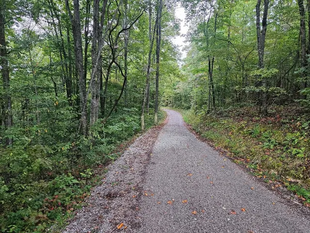 $399,900 | 0 Sells Cemetery Road, Wilder, TN 38589