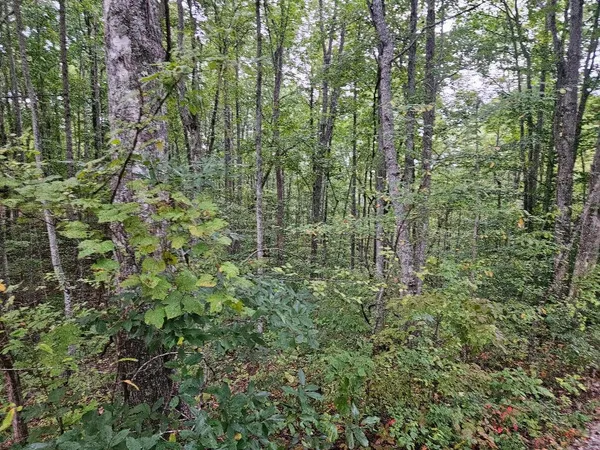 $399,900 | 0 Sells Cemetery Road, Wilder, TN 38589