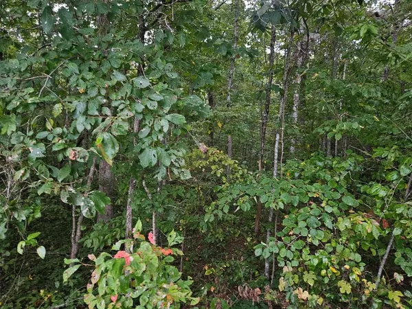$399,900 | 0 Sells Cemetery Road, Wilder, TN 38589
