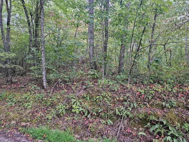 $399,900 | 0 Sells Cemetery Road, Wilder, TN 38589