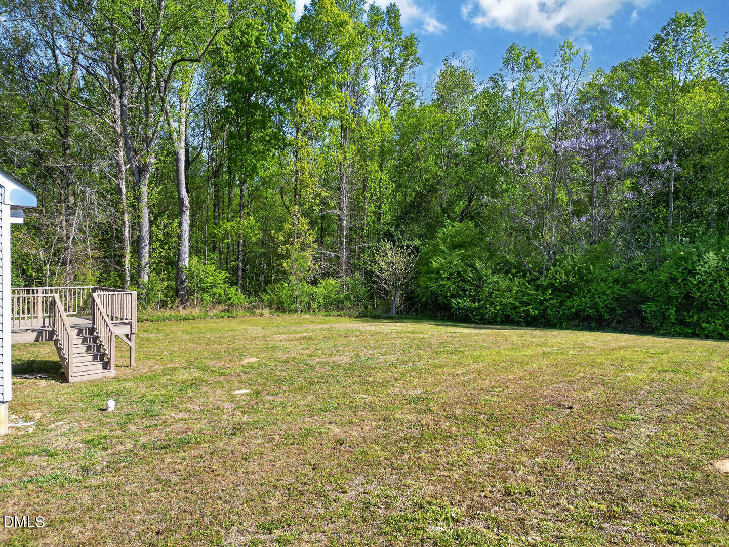 40 Treeline Drive Spring Hope, NC 27882 - Photo 30 of 33 Wooded side