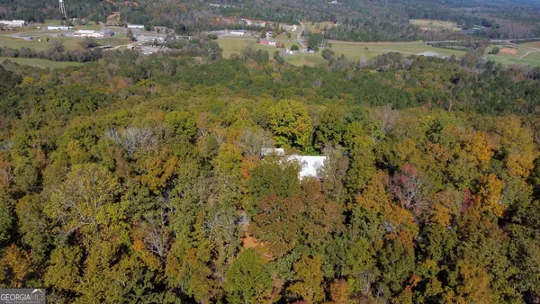 $750,000 | 739 Barnes Mill Road, Hamilton, GA 31811