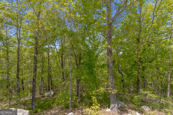 $750,000 | 739 Barnes Mill Road, Hamilton, GA 31811