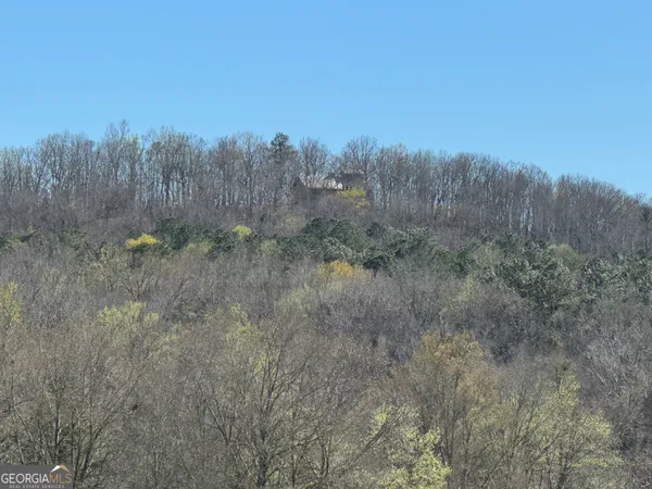 $750,000 | 739 Barnes Mill Road, Hamilton, GA 31811