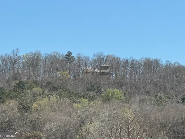 $750,000 | 739 Barnes Mill Road, Hamilton, GA 31811