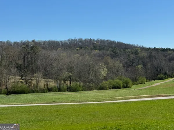 $750,000 | 739 Barnes Mill Road, Hamilton, GA 31811