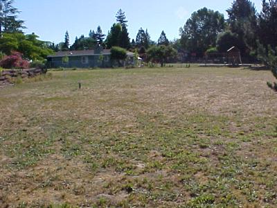 615 Ragle Road Sebastopol, CA 95472 - Photo 5 of 8 a view of outdoor space and yard